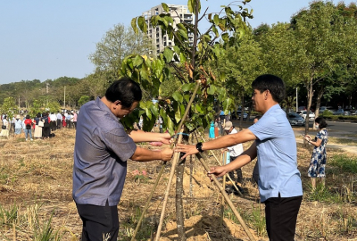 Mười năm trồng cây, trăm năm trồng người